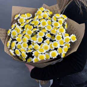 Букет "Моё солнышко" из 11 хризантем сантини  в Куровском