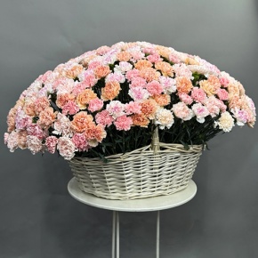 Композиция в корзине из 251 диантуса микс в Куровском