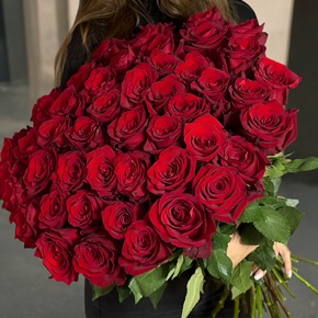 Букет 51 роза Эквадор Эксплорер (60 см) в Куровском