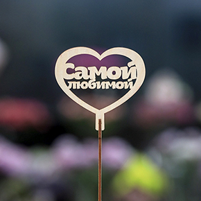 Топпер Самой Любимой в Куровском