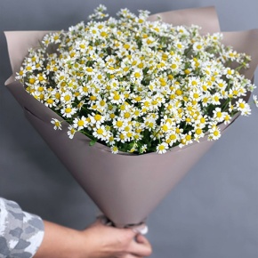 Букет из 17 ромашек танацетум в Куровском
