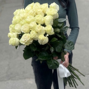 Монобукет из 25 роз Эквадор Мондиаль (80 см) в Куровском