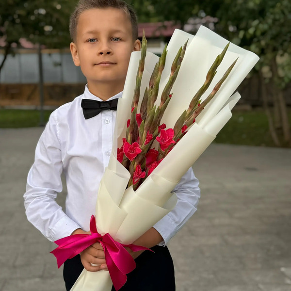 Букет на 1 сентября из 7 малиновых гладиолусов в Куровском