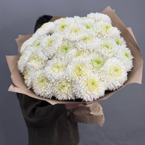 Букет из 27 хризантем Магнум в Куровском