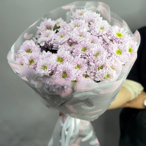 Букет "Нежный комплимент" из 9 кустовых хризантем в Куровском