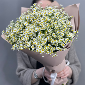 Букет из 17 полевых ромашек в Куровском