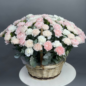 Композиция в корзине из 101 диантуса микс в Куровском