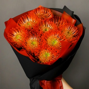 Букет из 9 лейко в Куровском