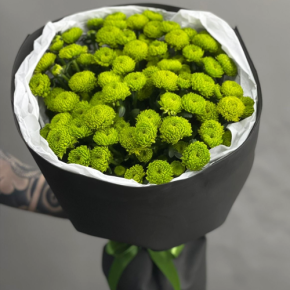 Стильный букет "Лайм" из 15 хризантем сантини в Куровском