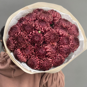 Букет 21 шоколадной хризантемы Бигоуди в Куровском