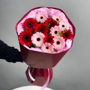 Букет "Румянец" из гербер микс в Куровском