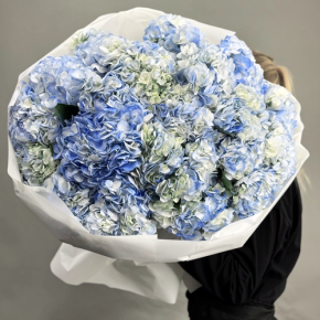 Букет из 23 синих гортензий в Куровском