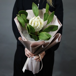 Букет "Великолепная" из экзотичной протеи в Куровском