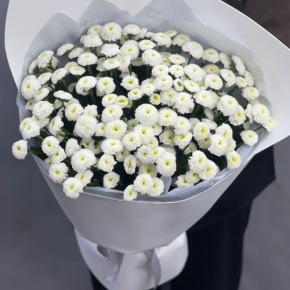 Букет "Белая дымка" из 25 хризантем сантини в Куровском