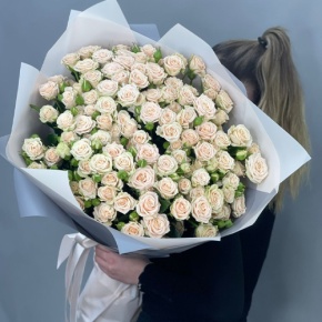 Букет из 25 кремовых кустовых роз (70 см) в Куровском