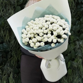 Букет из 25 хризантем Ньютон в Куровском