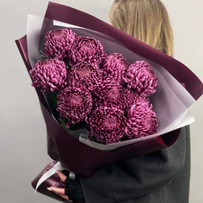 Букет "Изобилие" из 11 винных хризантем Бигоуди в Куровском