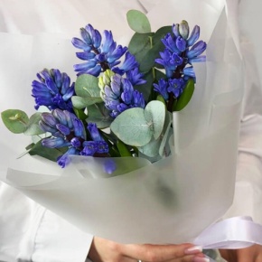 Букет "Мини" из 5 ароматных гиацинтов и эвкалипта в Куровском