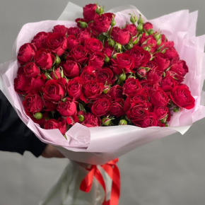 Букет из 17 красных кустовых пионовидных роз (50 см) в Куровском