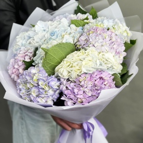 Букет из 9 Голландских гортензий микс в Куровском