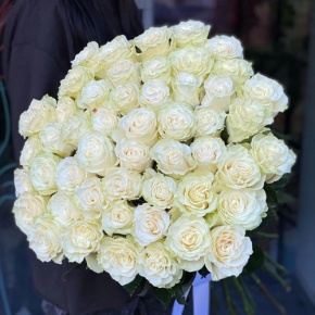 Букет из 51 розы Эквадор Мондиаль под ленту (80 см) в Куровском