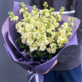 Букет из 15 лимонных маттиол в Куровском