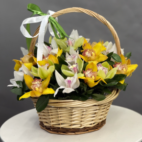 Композиция в корзине из 25 орхидей микс в Куровском