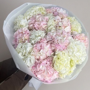 Букет из 17 нежных гортензий в Куровском