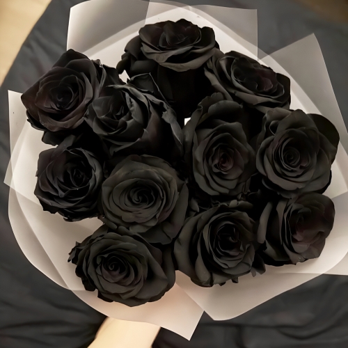Букет "Черная королева" из 11 черных роз Эквадор (60 см) в Куровском