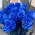 15 синих LUX роз Эквадор (70 см) в Куровском