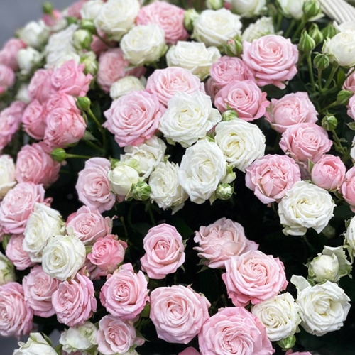 Композиция в корзине из 101 кустовой пионовидной розы в Куровском