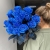 15 синих LUX роз Эквадор (70 см) в Куровском