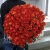 Букет 101 коралловая роза (60 см) в Куровском