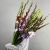 Букет из 25 гладиолусов микс в Куровском