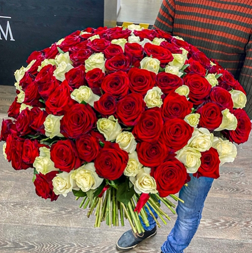 Букет 151 роза красный и белый микс (60 см) в Куровском