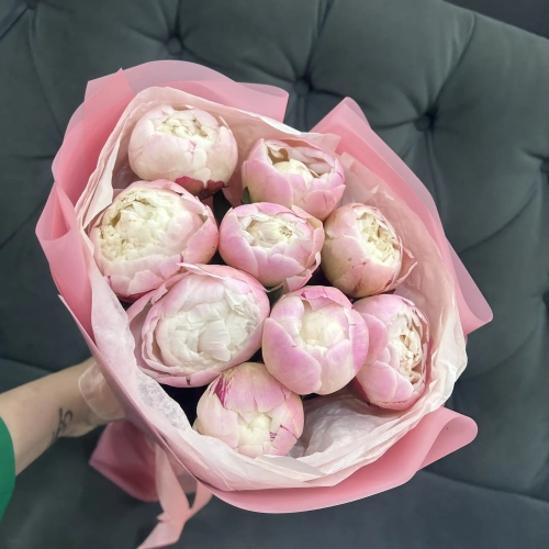 Букет из 9 нежных пионов Гардения в Куровском