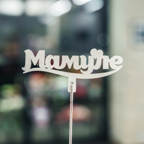 Топпер Мамуле в Куровском