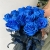 15 синих LUX роз Эквадор (70 см) в Куровском