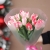 Букет "Фламинго" из 11 пионовидных тюльпанов в Куровском