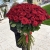 Букет из 101 красной розы (90 см) в Куровском