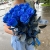 15 синих LUX роз Эквадор (70 см) в Куровском