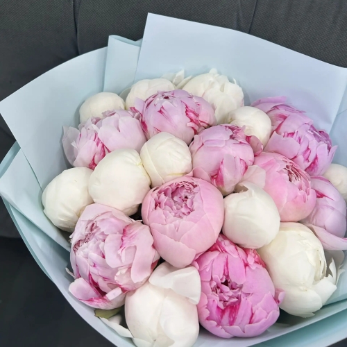 Микс из 19 бело-розовых пионов в Куровском