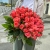 Букет 51 роза коралл (60 см) в Куровском