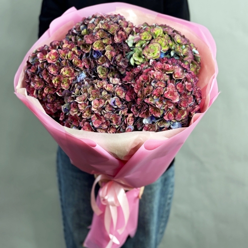 Букет из 5 космических Голландских гортензий в Куровском