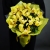 Букет из 13 лимонных орхидей в Куровском Букет из 13 лимонных орхидей в Куровском