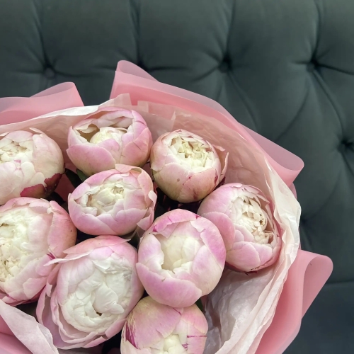 Букет из 9 нежных пионов Гардения в Куровском