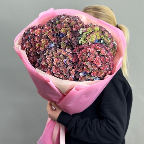 Букет из 5 космических Голландских гортензий в Куровском